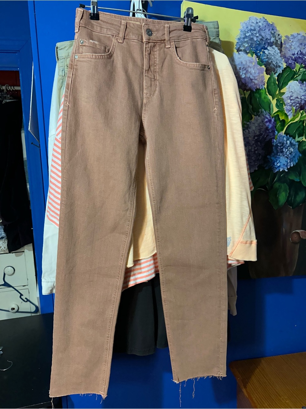 Pilcro Anthropologie Jeans (25) NWOT